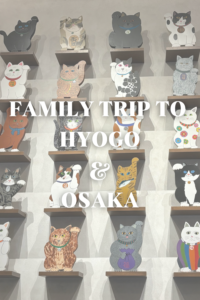 Family Trip to Kobe and Osaka: A Memorable Getaway